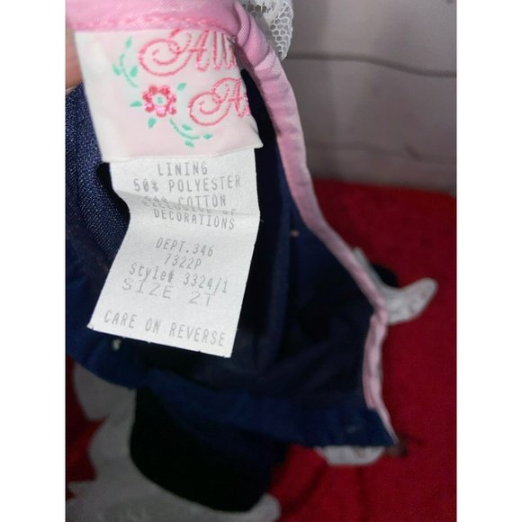 Allison Ann Blue Velvet White Lace Pink Bow Long Sleeves Size 2T Girls Dress Vin - Picture 10 of 11